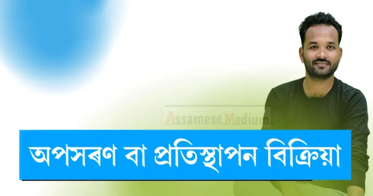 Read more about the article Displacement Reaction in Assamese