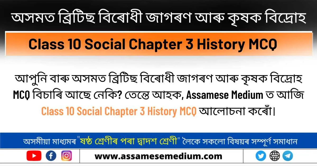 Class 10 Social Chapter 3 History MCQ