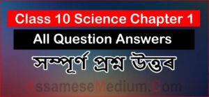 Read more about the article Class 10 Science Chapter 1 Question Answers 2024