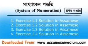 Read more about the article Class 9 Adv Maths Chapter 1 Solution in Assamese