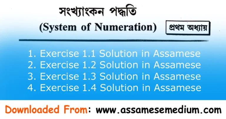 Read more about the article Class 9 Adv Maths Chapter 1 Solution in Assamese