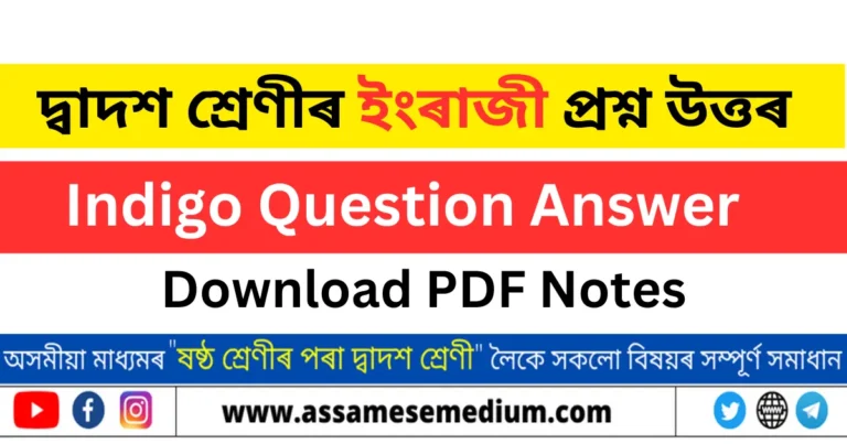 Read more about the article Indigo Question Answer