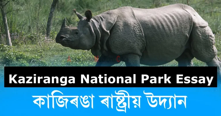 Read more about the article Kaziranga National Park Essay In Assamese 2024 | কাজিৰঙা ৰাষ্ট্ৰীয় উদ্যান