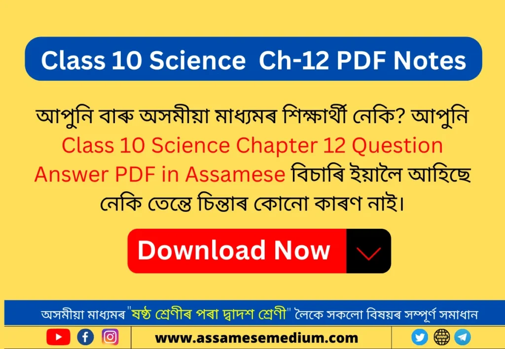 Class 10 Science Chapter 12 PDF Note in Assamese