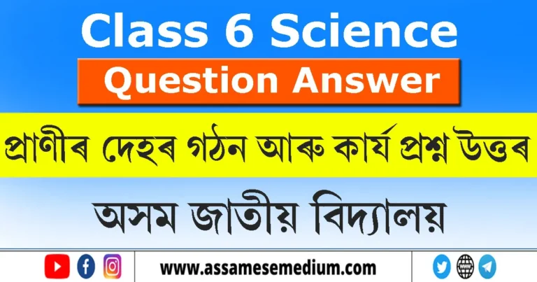 Read more about the article প্ৰাণীৰ দেহৰ গঠন আৰু কাৰ্য প্ৰশ্ন উত্তৰ | AJB Class 6 Science Chapter 8