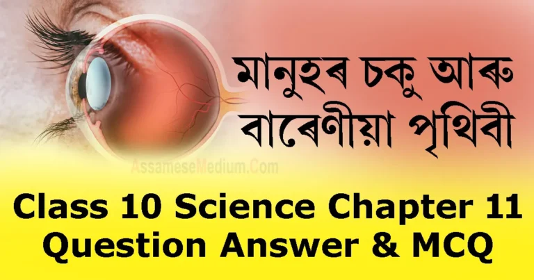Read more about the article Class 10 Science Chapter 11 Assamese Medium