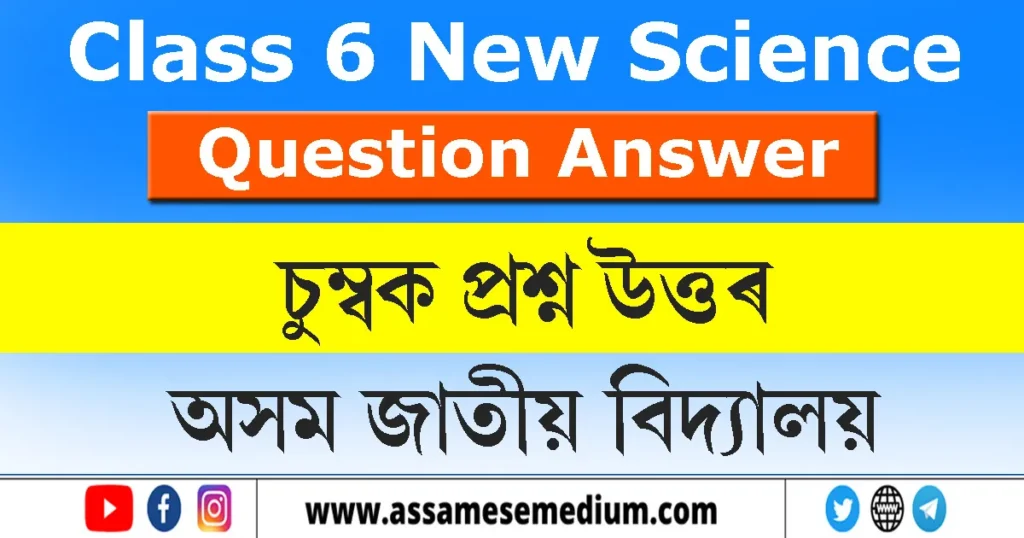Class 6 Science Chapter 15 Question Answer in Assamese