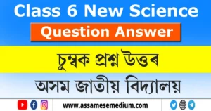 Read more about the article [AJB] Class 6 Science Chapter 15 Question Answer in Assamese | চুম্বক
