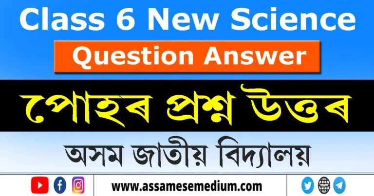 Read more about the article Class 6 Science Chapter 16 Question Answer in Assamese