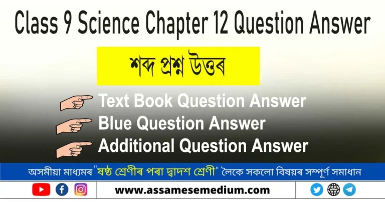 Read more about the article Class 9 Science Chapter 12 Question Answer Assamese | শব্দ প্ৰশ্ন উত্তৰ