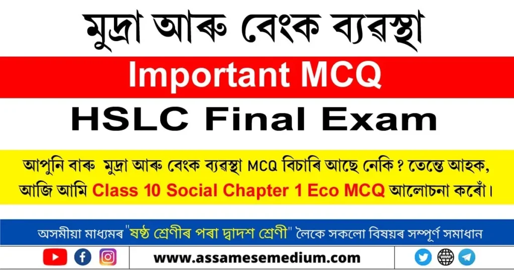 Class 10 Social Chapter 1 Eco MCQ
