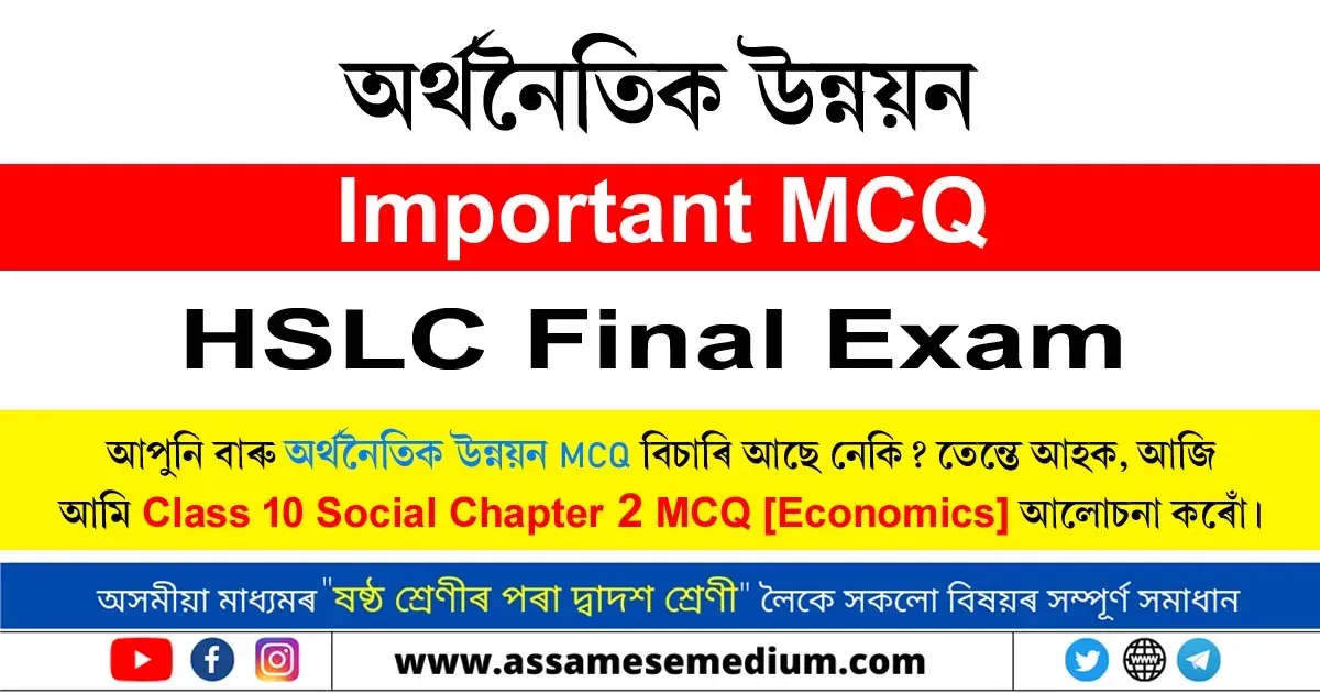 Class 10 Social Chapter 2 Eco MCQ