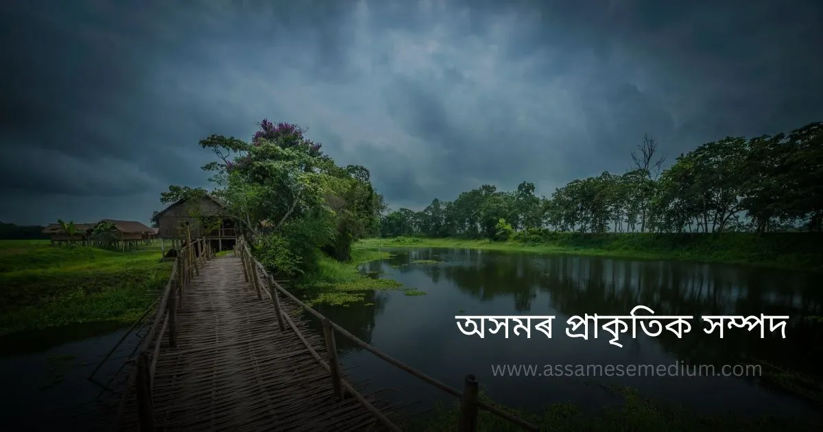 অসমৰ প্ৰাকৃতিক সম্পদ